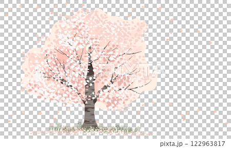 Spring landscape illustration with cherry blossom petals falling Spring landscape illustration with cherry blossom petals falling 122963817