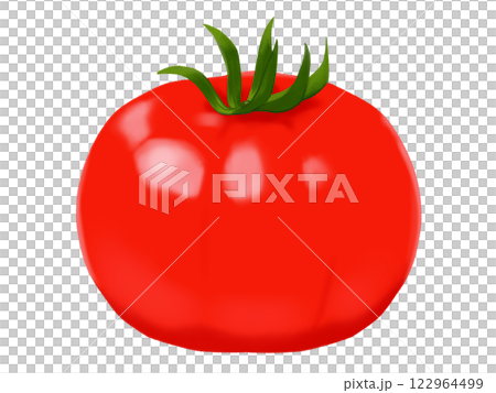 番茄 夏季蔬菜 122964499