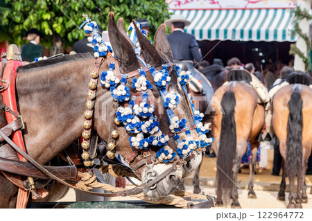 Elegant Horses Adorned for Seville April Fair Celebration 122964772