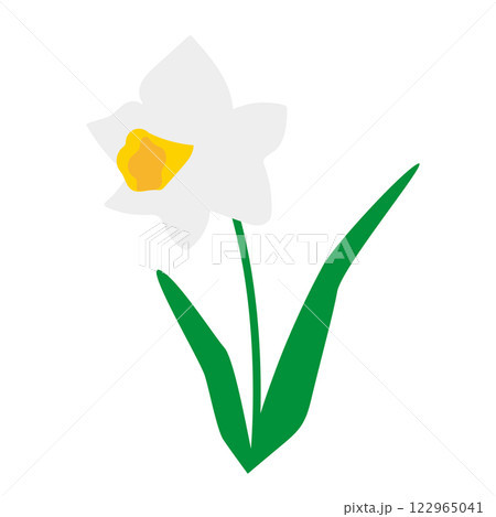 白い水仙の花のベクターイラスト 122965041
