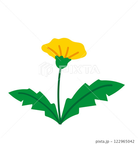 たんぽぽの花のベクターイラスト 122965042