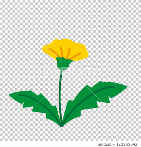 たんぽぽの花のベクターイラスト 122965042