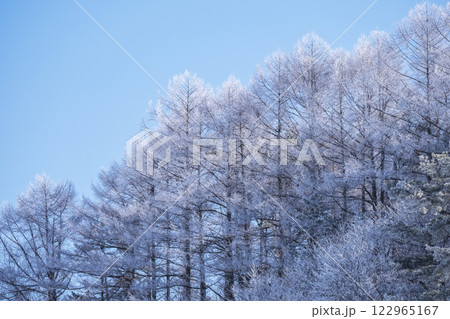 里山に降りた霜(蒜山高原) 里山に降りた霜(蒜山高原) 122965167