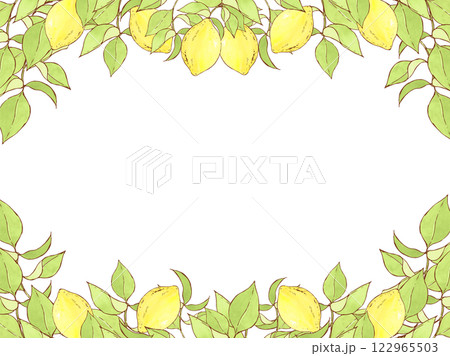 レモンの葉と実のフレーム 122965503