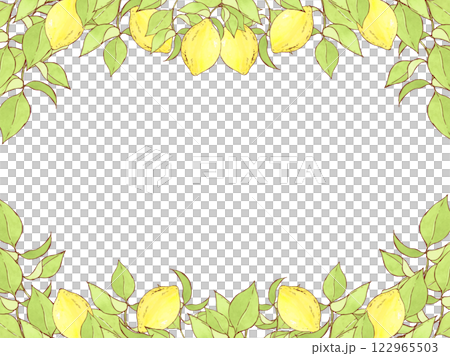 檸檬葉和水果框架 122965503