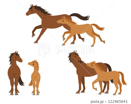 馬の親子のイラストセット 馬の親子のイラストセット 122965641