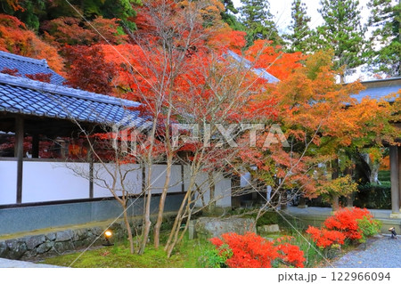 秋の永源寺（東近江市） 122966094