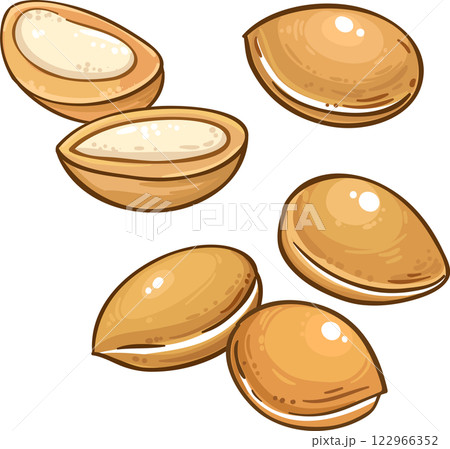 Argan Nuts Colored Detailed Illustration. Argan Nuts Colored Detailed Illustration. 122966352