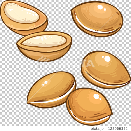 Argan Nuts Colored Detailed Illustration. Argan Nuts Colored Detailed Illustration. 122966352