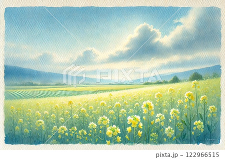 菜の花畑 122966515