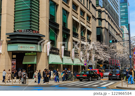 東京 中央区 日本橋室町の都市風景 コレド室町と満開の桜 東京 中央区 日本橋室町の都市風景 コレド室町と満開の桜 122966584