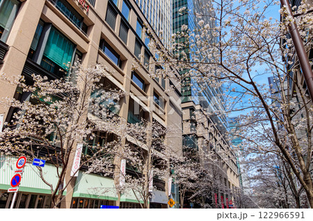 東京　中央区　日本橋室町の都市風景　コレド室町と満開の桜 122966591