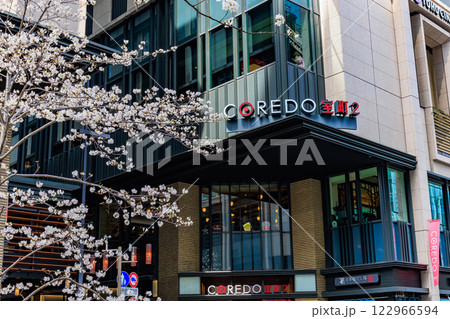 東京　中央区　日本橋室町の都市風景　コレド室町と満開の桜 122966594
