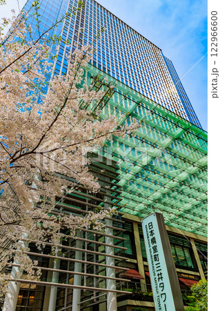 東京 中央区 日本橋室町の都市風景 日本橋室町三井タワーと満開の桜 東京 中央区 日本橋室町の都市風景 日本橋室町三井タワーと満開の桜 122966600