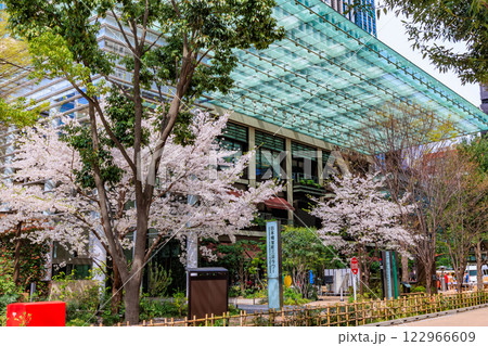 東京 中央区 日本橋室町の都市風景 コレド室町テラスと満開の桜 東京 中央区 日本橋室町の都市風景 コレド室町テラスと満開の桜 122966609
