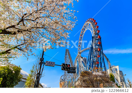 東京 文京区後楽 東京ドームシティと満開の桜 東京 文京区後楽 東京ドームシティと満開の桜 122966612