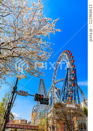 東京　文京区後楽　東京ドームシティと満開の桜 122966613