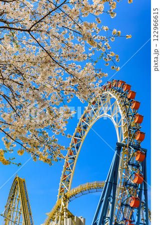 東京 文京区後楽 東京ドームシティと満開の桜 東京 文京区後楽 東京ドームシティと満開の桜 122966615