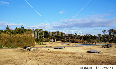 神奈川県最南端の城ヶ島の冬 神奈川県最南端の城ヶ島の冬 122966874