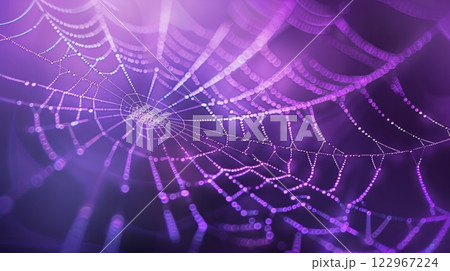 A close-up of an intricate spider web illuminated in purple hues, with dewdrops glistening softly 122967224