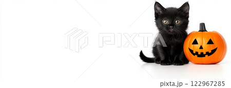 A cute black kitten sitting next to a carved pumpkin jack-o'-lantern, creating a playful Halloween scene 122967285