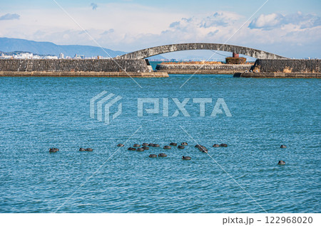 冬の琵琶湖大津港風景 冬の琵琶湖大津港風景 122968020