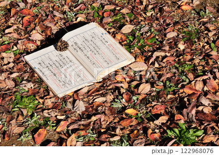古文書と枯葉02 122968076