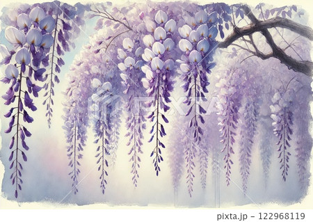 藤棚・藤の花 122968119