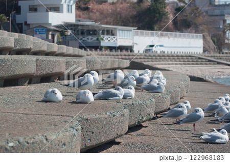 愛知県蒲郡市　星越海岸 20 122968183