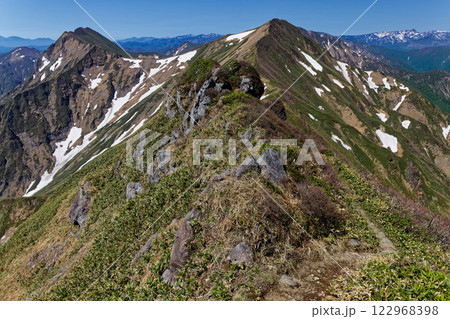 初夏の谷川連峰縦走路から見るオジカ沢ノ頭・川棚山稜と苗場山 122968398