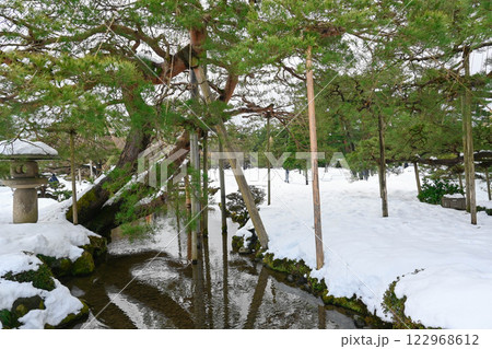兼六園　冬景色　松を支える 122968612