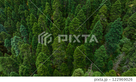 Aerial view of beautiful high altitude forest mountain landscape Aerial view of beautiful high altitude forest mountain landscape 122969026