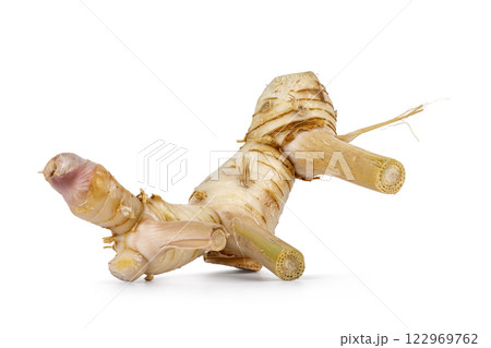 Fresh ginger root on white background 122969762
