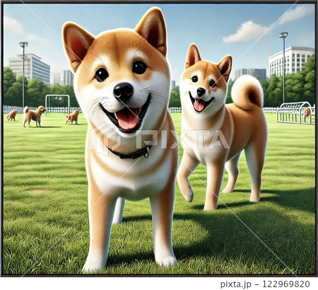 ドッグランで遊ぶ柴犬 122969820