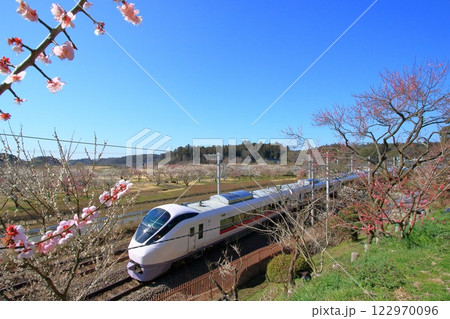 常磐線と偕楽園の梅 122970096