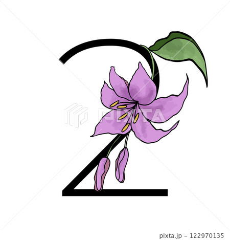Lilly blossom purple flower alphabet number for design of card or invitation. Vector floral letter illustrations, isolated on white background for wedding 122970135