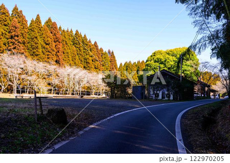 (駅前道路風景)　大畑駅（おこばえき）　(アニメ聖地：夏目友人帳)(人吉市)JR肥薩線大畑駅 122970205