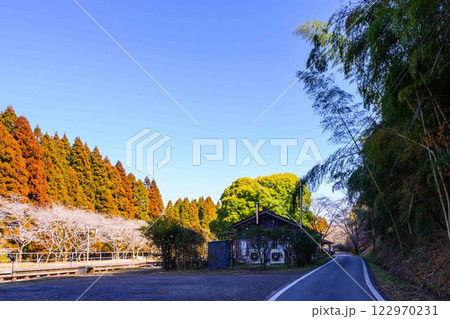 (駅前道路風景)　大畑駅（おこばえき）　(アニメ聖地：夏目友人帳)(人吉市)JR肥薩線大畑駅 122970231