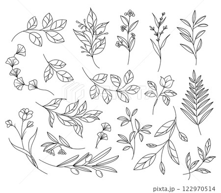 Hand-drawn botanical elements 122970514
