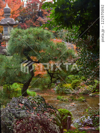 冬の京都の観光地のお寺の紅葉の風景 冬の京都の観光地のお寺の紅葉の風景 122970892