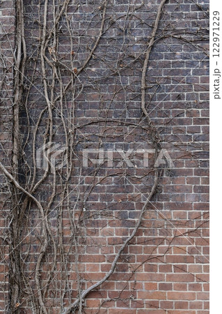 舞鶴赤レンガパーク 122971229