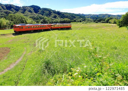 小湊鐵道「6月下旬の草原を走る風景を走るキハ40」 122971485