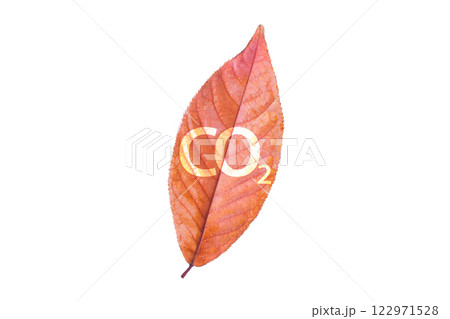 Red leaf with co2 symbol isolated on white background Red leaf with co2 symbol isolated on white background 122971528