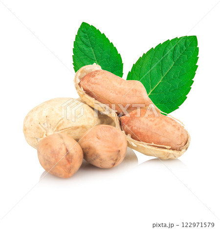 Peanuts isolated on white background 122971579