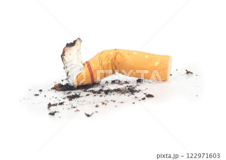 butts cigarette isolated on white background 122971603
