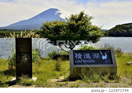 山梨県　精進湖の他手合浜より望む富士山 122971744