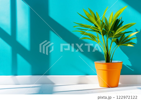 A potted plant sitting on a white table in front of a blue wall 122972122