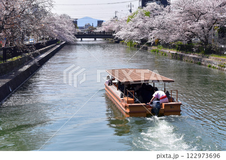 桜満開の岡崎疏水 122973696