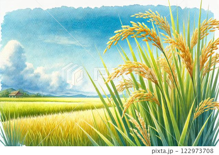稲穂・田んぼ 122973708