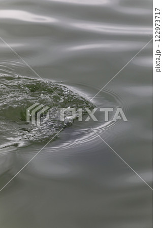 水面に描かれた波紋 122973717